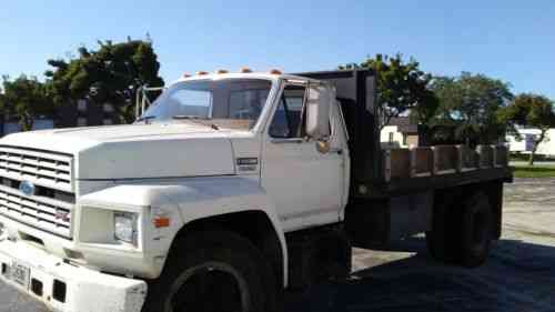 Ford F700 (1984) Conventional Cab Truck Bed Length: 12: Vans, SUVs, and ...