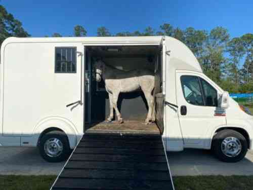 Allemaal Gevoel van schuld Zeldzaamheid Stx Two Horse Van For Sale 2017 Ram Promaster Two Horse Van: Vans, SUVs,  and Trucks Cars